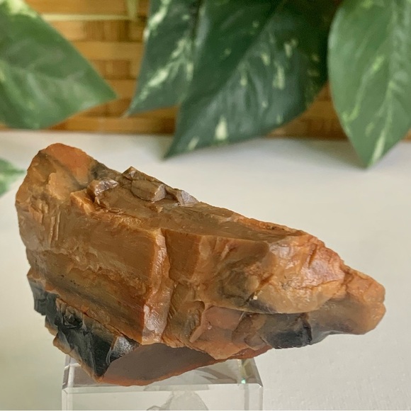 Red Petrified Wood Limb Orange Black Rough Display Specimen 3.3"x1.75" 142g 5oz - Picture 11 of 15